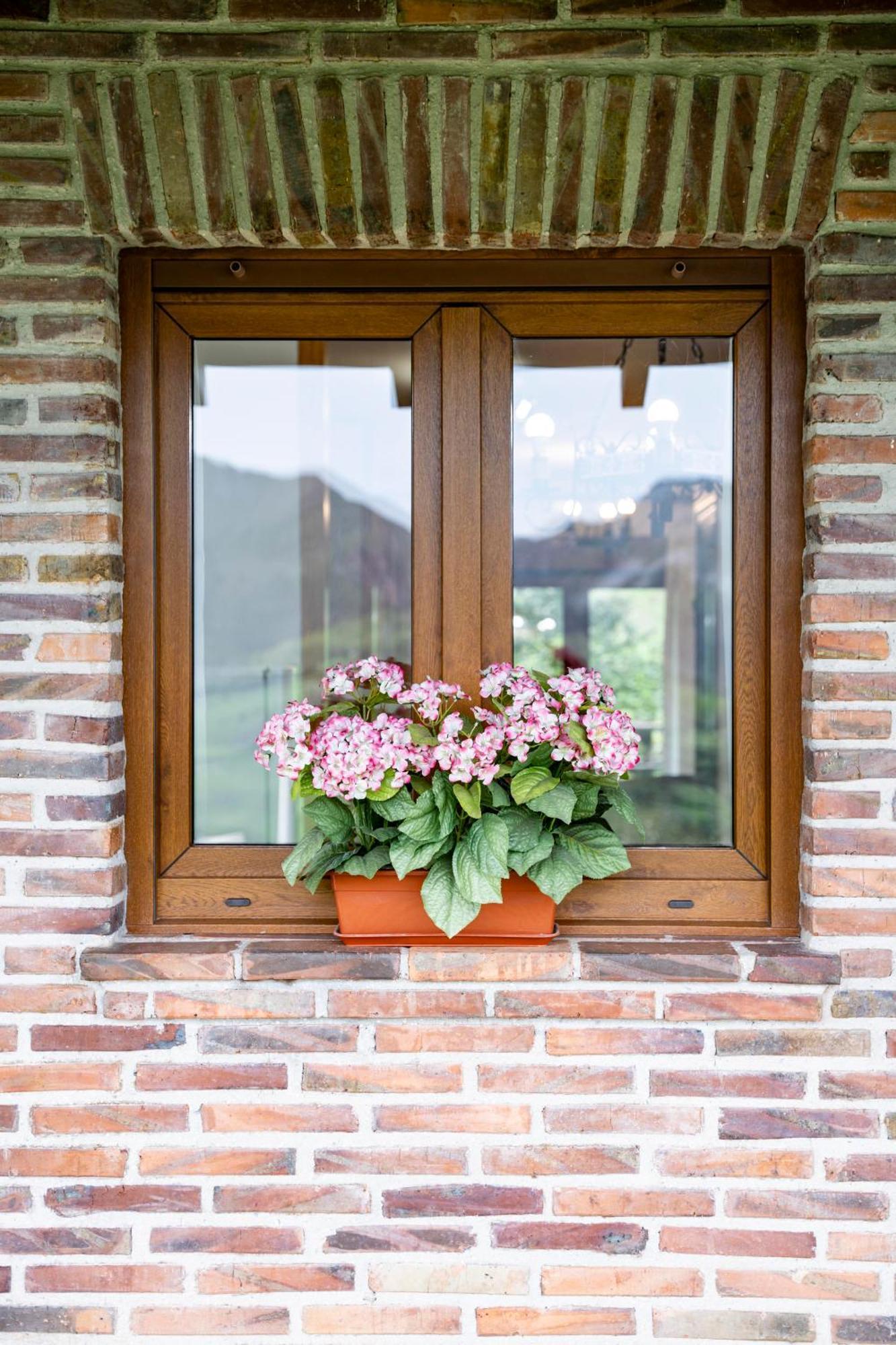 Apartamentos De Turismo Rural Buena Vista Onís Extérieur photo