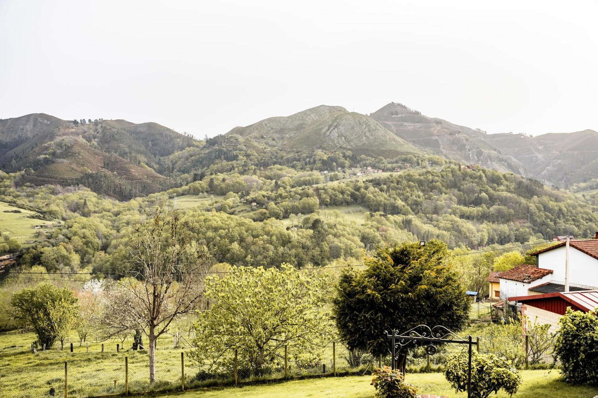 Apartamentos De Turismo Rural Buena Vista Onís Extérieur photo