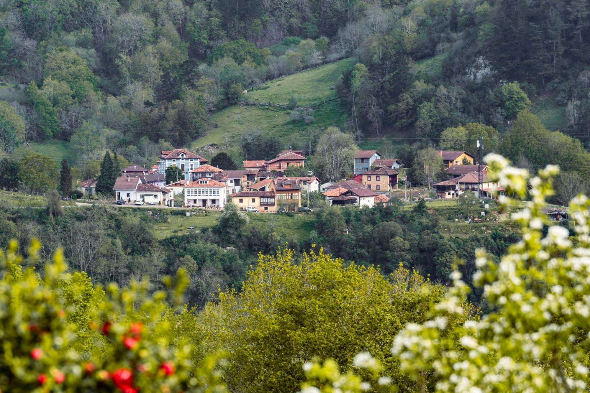 Apartamentos De Turismo Rural Buena Vista Onís Extérieur photo